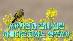 자연과 함께 힐링음악