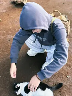 Aesthetic