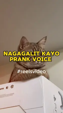 Galit prank Voice 