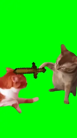 Minecraft Cat Fight 