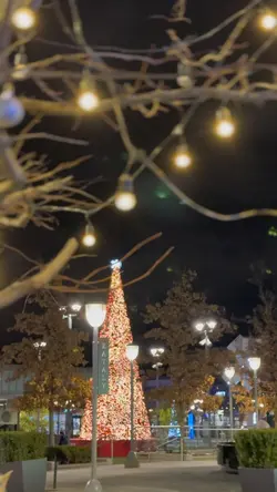 Christmas Video