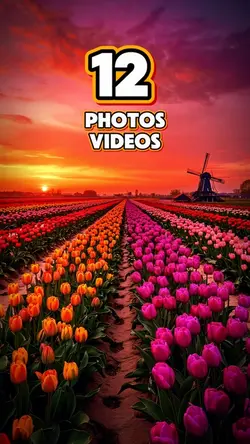 12 photos or videos 