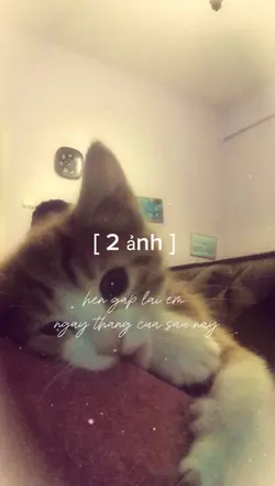 [ 2] dịu dàng 