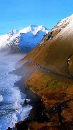 20 video or picture 