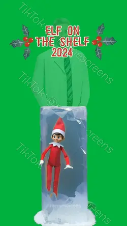 ELF ON THE SHELF