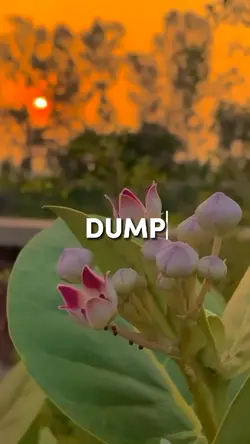 DUMP