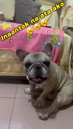 Inaantok 
