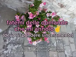 domandee
