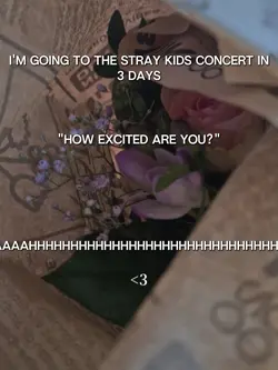 Stray Kids!!
