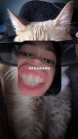 jj terbaru 