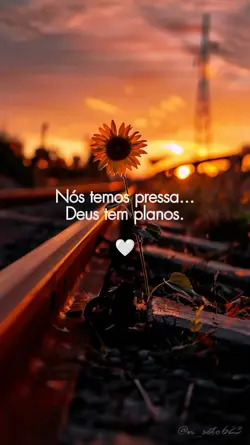 Os planos de Deus 
