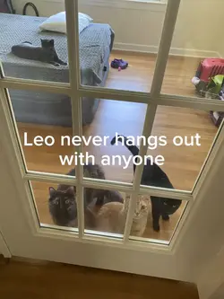 Frens