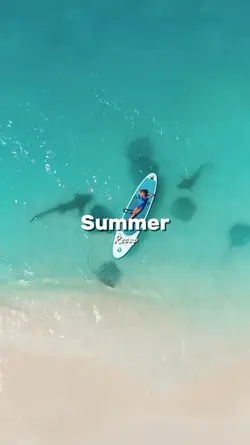 summer recap
