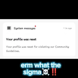 NOT SKIBIDI!1!!1!1
