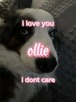 ilysm ollie ❤️