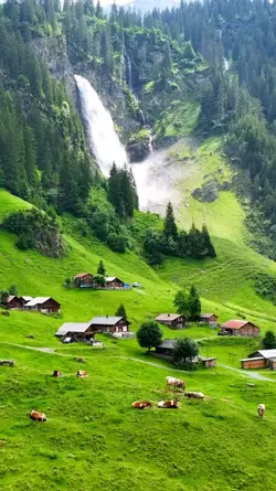 Nature Cinematic