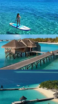summer collage