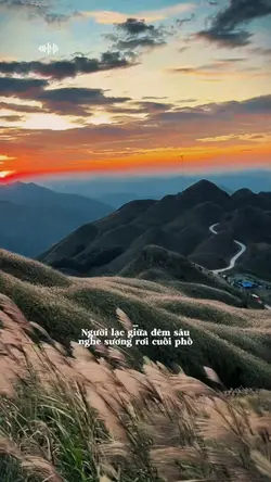 Người lạc giữa đêm