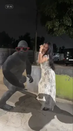 dc kingkong trend
