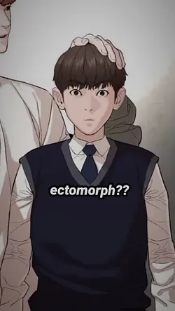 ectomorp 