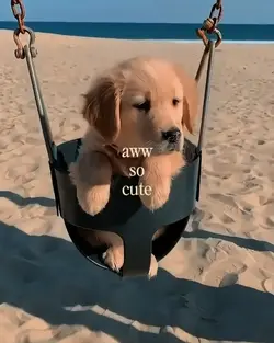 aww so cute
