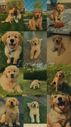 I love my dog
