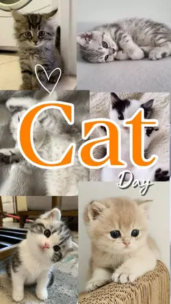 Cat Day