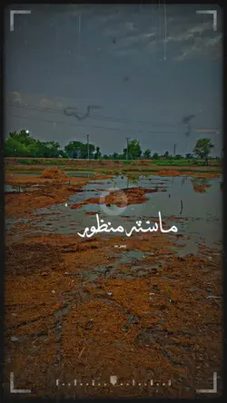master manzoor songs