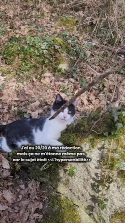 L'hypersensibilité 