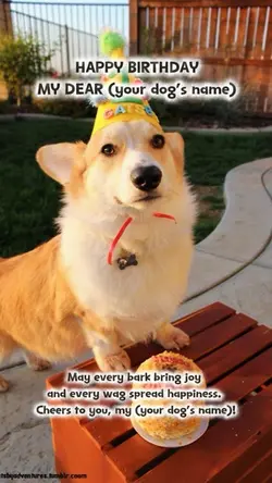 Dig birthday