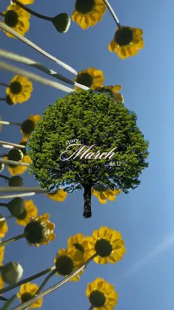 hello march