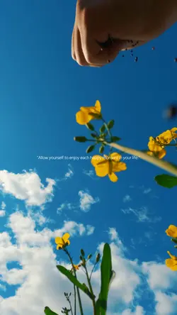 Enjoy Life