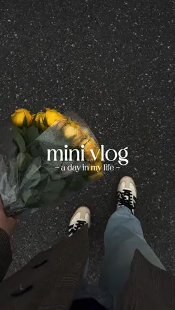 mini vlog