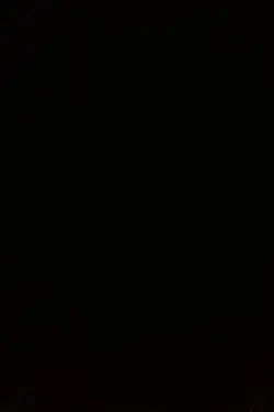 Bir gece gelsen