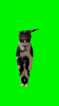 Thugxedo Cat