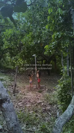A vida é bonita