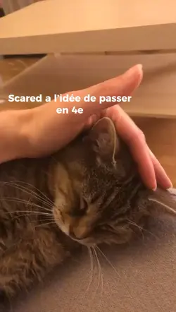 Scared 🙏🏻