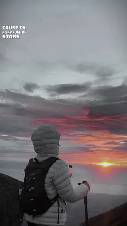 A sky full off stars
