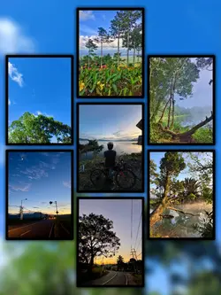7Pic Trend