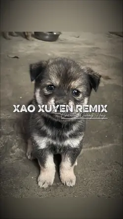 xao xuyến 2 ảnh 