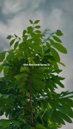 Allah mera karde....
