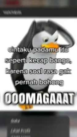 saJj tipis²brow