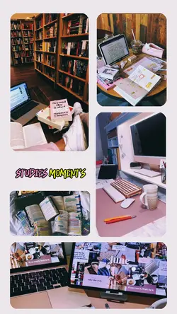 Studies 