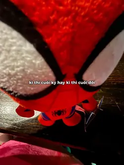 cuối kì hay cuối đời