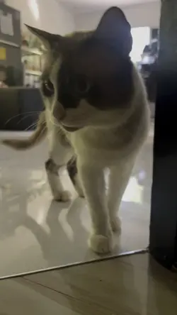 Pogi mo kasi Toby