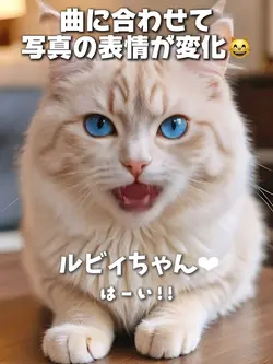 表情変化AI😸