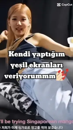 uygulama: İbis paint