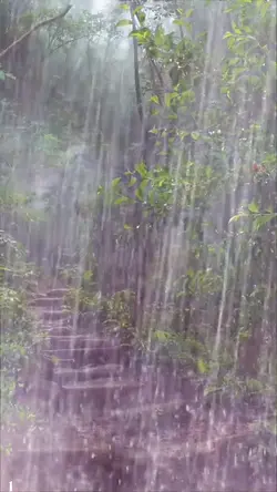 Heavy rain