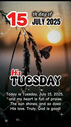 it's Tuesday