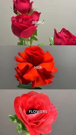 Flowers template 